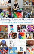 Image result for 5 Senses Science Experiments