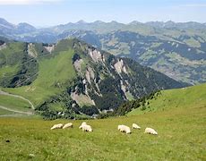 Image result for chalin