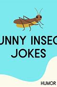 Image result for Bug Jokes