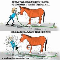 Image result for Horse Racing Humor