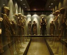 Image result for Mummies of Guanajuato Movie