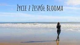 Image result for co_to_znaczy_zespół_blooma