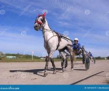 Image result for Horse Racetrack