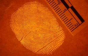 Image result for Fingerprint Outline