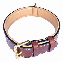 Image result for Leather Dog Collars On Display