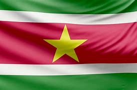 Image result for Suriname