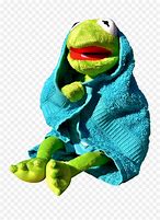 Image result for Crazy Kermit the Frog