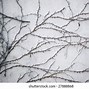 Image result for Creepy Vines