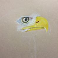 Image result for Bald Eagle Human Drawing