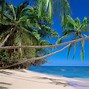 Image result for Fiji Beach Desktop Wallpaper