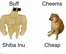 Image result for Shiba Inu Doge Meme