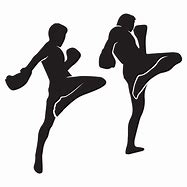 Image result for Kickboxing Art