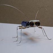 Image result for Real Computer Bug