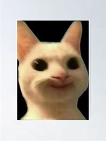 Image result for Smiling Cat Meme 2018