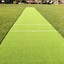 Image result for Artificial Cricket Wicket