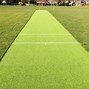 Image result for Cricket Wicket Saying