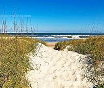 Image result for American Beach in Amelia Island