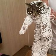 Image result for Cute Cat Fails