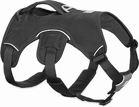 Image result for Pet Harness with Saddle Back