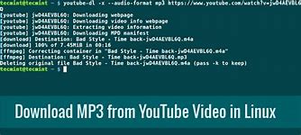 Image result for How to Download MP3 From YouTube