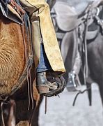 Image result for Tack Room Saddle Rack