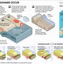 Image result for Natural Disasters Earthquake and Tsunami
