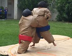 Image result for Sumo Wrestling Fun and Other Ideas