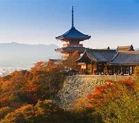 Image result for japanese shrines