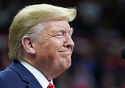 Image result for donald trump news
