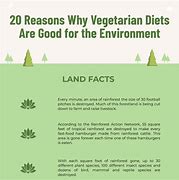 Image result for Vegetarian Benefits for the Environment