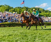 Image result for Iroquois Steeplechase