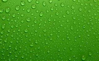Image result for Green Wallpaper