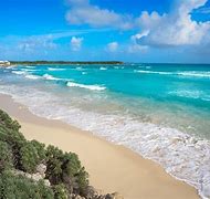 Image result for Cozumel Mexico Things to Do