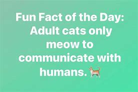 Image result for Fun Fact of the Day