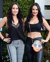 Image result for Brie and Nikki Bella Hooter