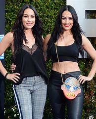 Image result for Nikki and Bella