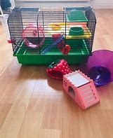 Image result for Hamster Cage Accessories