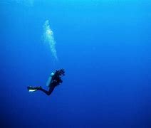 Image result for Diving