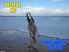 Image result for Meme Brain Cold Water