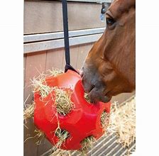 Image result for Horse Hay Ball