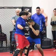 Image result for MMA Fighters Team