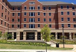 Image result for Library University of Memphis