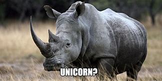 Image result for Rhinoceros Unicorn Meme