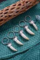 Image result for Gator Tooth Keychain