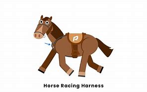 Image result for Harness Horse Racing Bikes