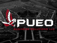 Image result for Pueo Business Solutions LLC