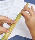 Image result for DIY Bamboo Flute