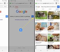 Image result for Reverse Google Samsung Phone