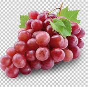 Image result for Common Grape Diseases