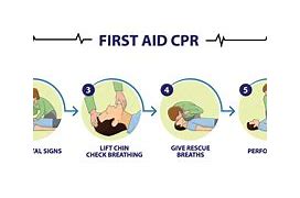 Image result for 3 Types of CPR